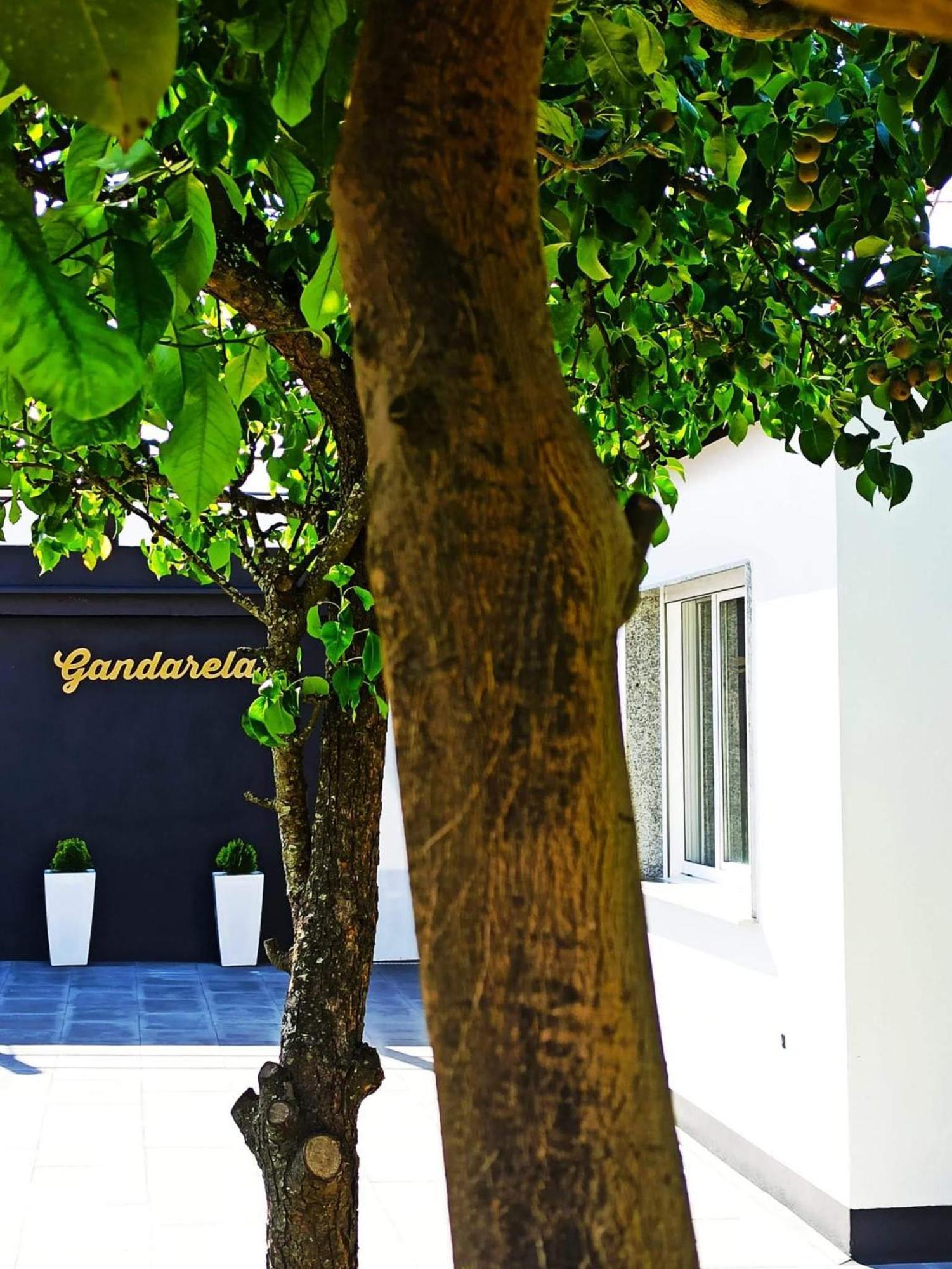 Apartamentos Vut Gandarela Sanxenxo Extérieur photo